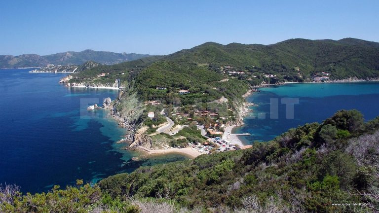 Enfola, Isola d'Elba