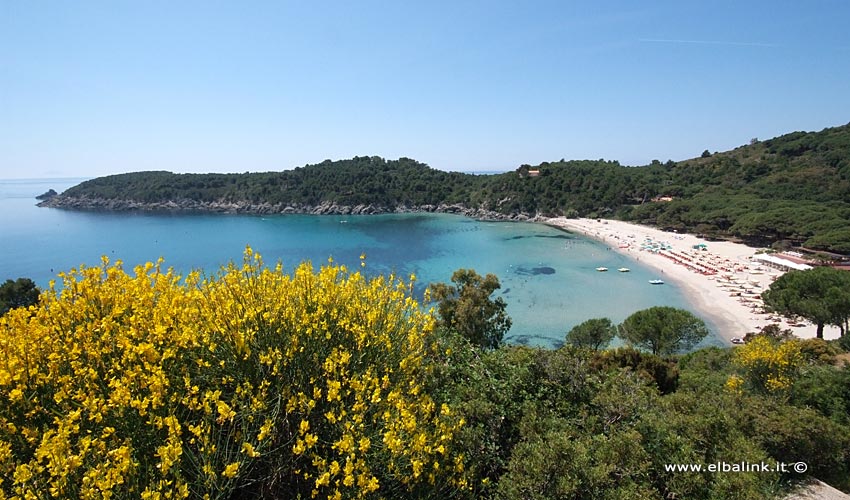 Spiaggia di Fetovaia, Elba