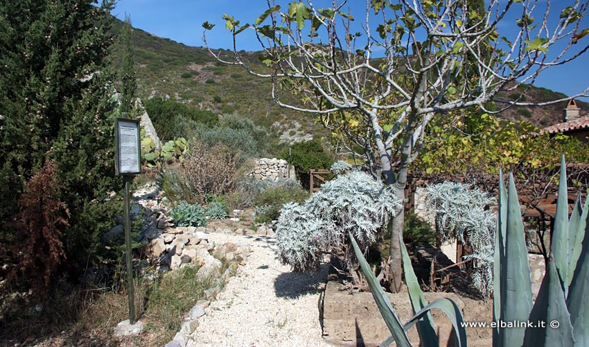 Orto dei Semplici - Rio nell'Elba - Isola d'Elba