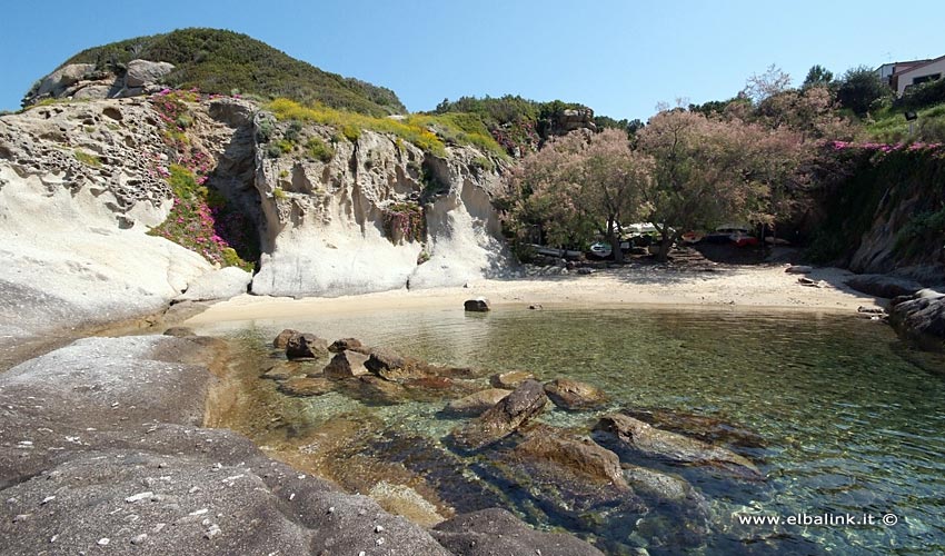 Spiaggia del Cotoncello - Isola d'Elba