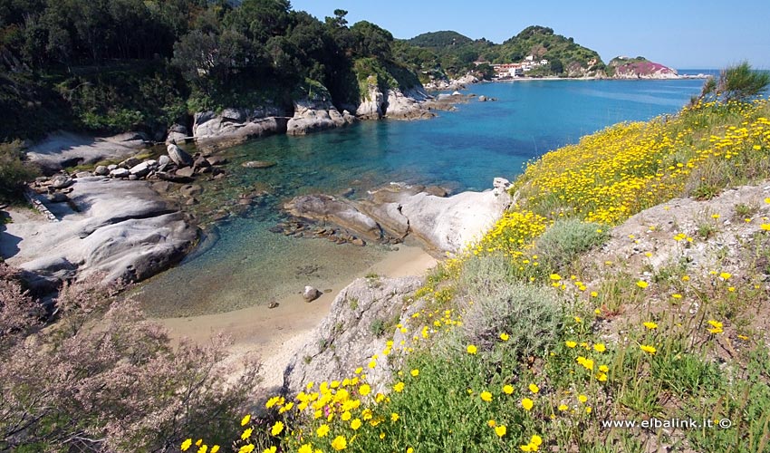 Spiaggia del Cotoncello - Isola d'Elba