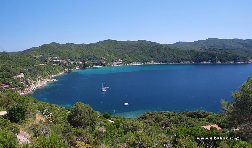 Spiaggia dell'Enfola - Isola d'Elba