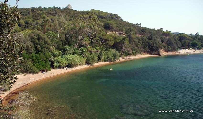 Spiaggia della Concia - Isola d'Elba