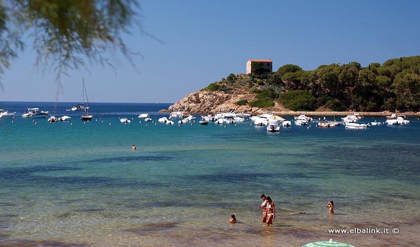 Spiaggia di Campo all'Aia - Isola d'Elba