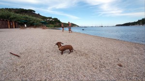 Spiaggia di Mola - Isola d'Elba