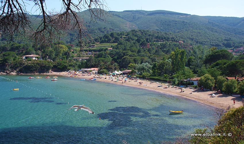 Spiaggia di Straccoligno - Isola d'Elba