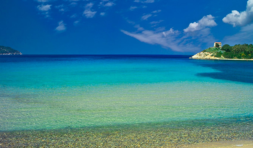 Spiaggia di Procchio, Elba