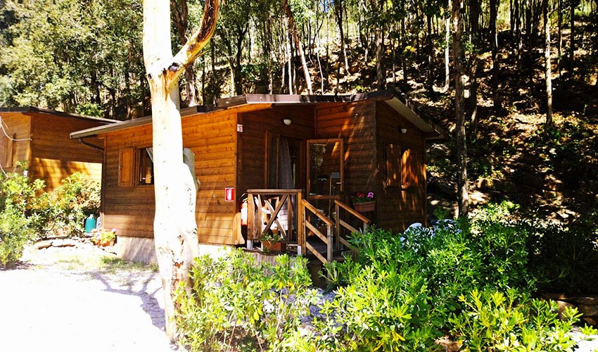 Camping Elbadoc, Elba