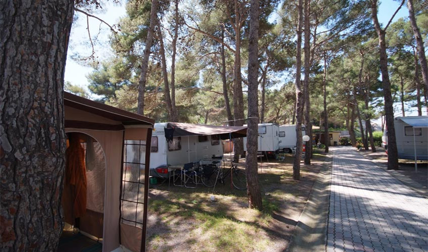 Camping Europa, Elba