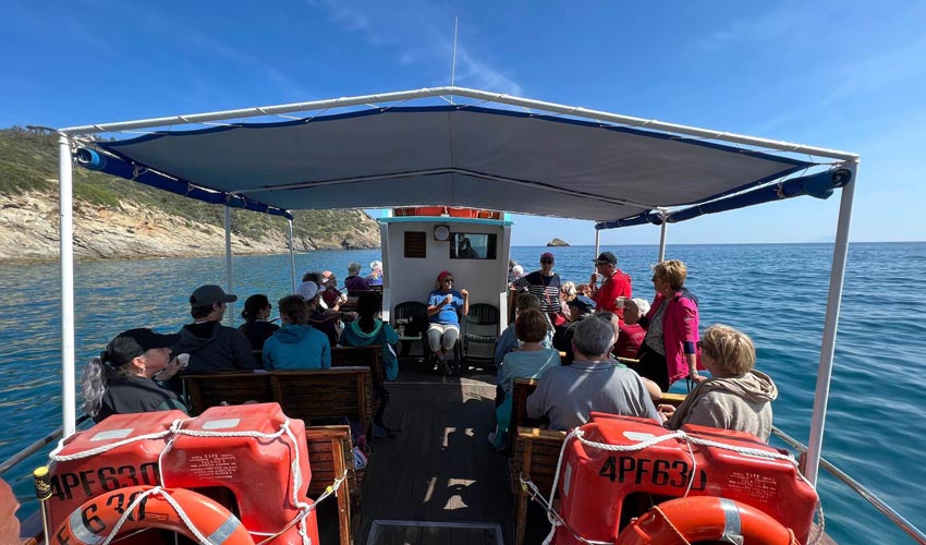 Motobarca Il Dollaro II, Elba