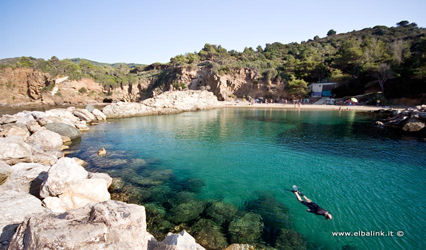 Spiaggia del Felciaio, Elba