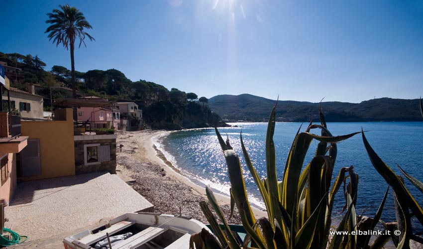 Spiaggia del Forno, Elba