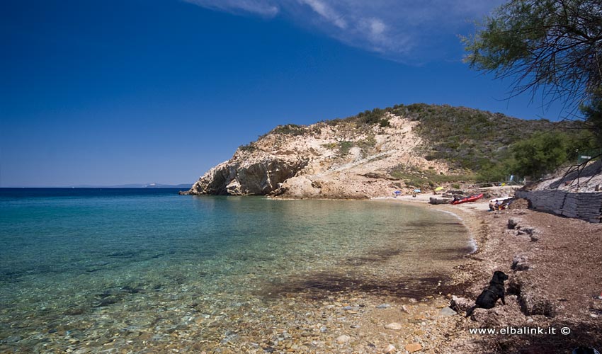 Spiaggia dell'Acquaviva, Elba