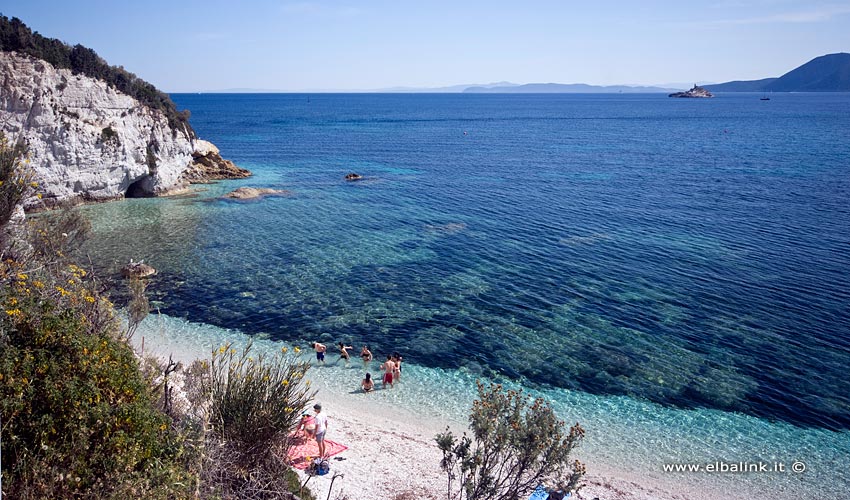 Spiaggia della Padulella, Elba