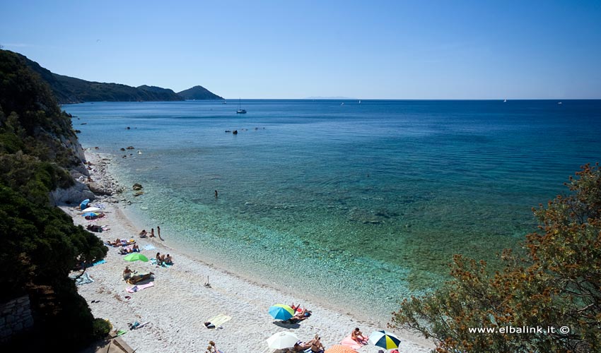 Spiaggia di Capo Bianco, Elba