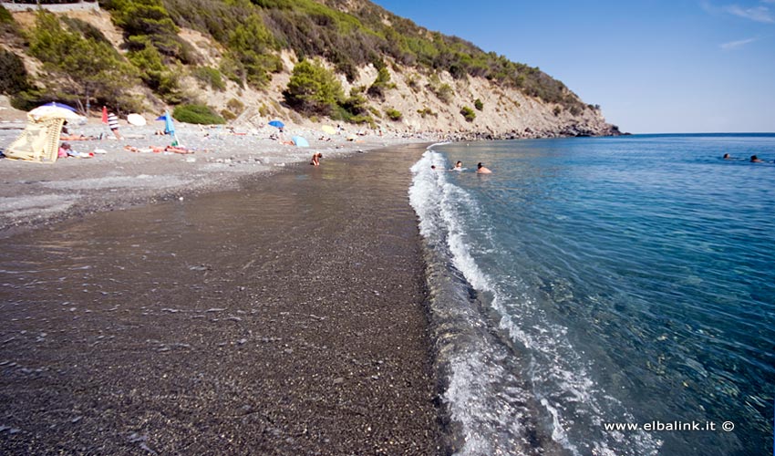 Spiaggia di Colle Palombaia, Elba