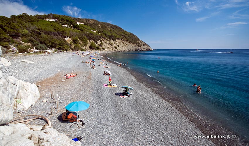 Spiaggia di Colle Palombaia, Elba