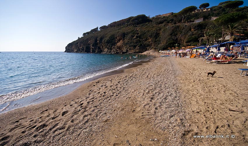 Spiaggia di Morcone, Elba