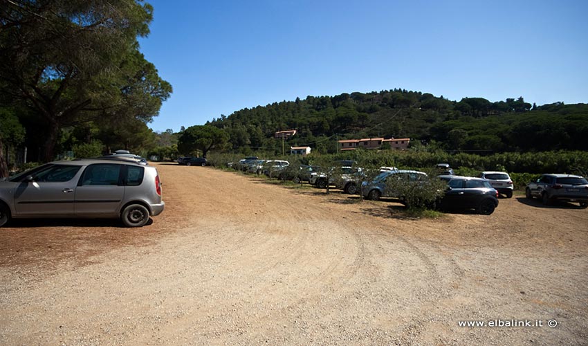 Spiaggia di Norsi, Elba