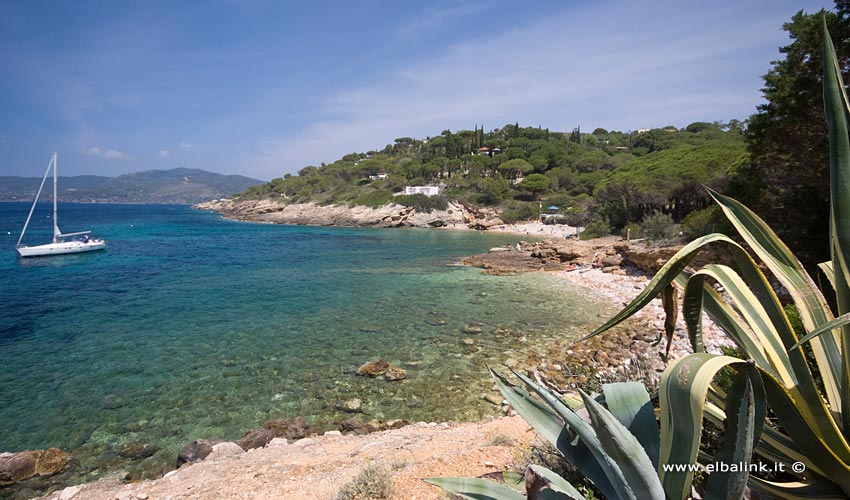 Spiaggia Madonna delle Grazie, Elba