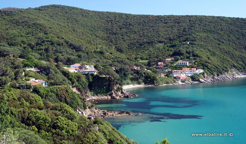 Spiaggia del Viticcio, Elba